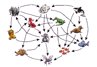Foodchain Graph, found on the net.