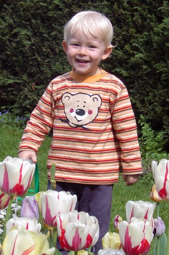 Flowers in Spring